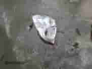 ✅ 2013 Chevrolet Impala LTZ • VIN: 2G1WC5E32D1230577 • Lot: 69864964. Wystawiony na Copart z przebiegiem 144 549 mil mil. Skorzystaj z bezpłatnego archiwum sprzedaży aukcyjnych z USA i zobacz szczegółowy raport historii pojazdu na DreamBid. Zdjęcie 12.