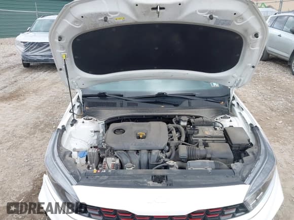 ✅ 2023 Kia Forte GT-Line • VIN: 3KPF54AD8PE584024 • Lot: 43509544. Wystawiony na IAAI z przebiegiem 52 583 mil. Bezpłatny archiwum sprzedaży aukcyjnych z USA i szczegółowy raport historii pojazdu na DreamBid. Zdjęcie 10.