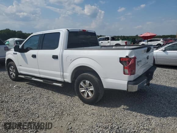✅ 2016 Ford F-150 XL • VIN: 1FTEW1CG7GKD01334 • Лот: 80437875. Опубликован ранее на Copart с пробегом 220 997 миль. Бесплатный доступ к архиву аукционных продаж из США и подробный отчёт об истории автомобиля на DreamBid. Изображение 2.