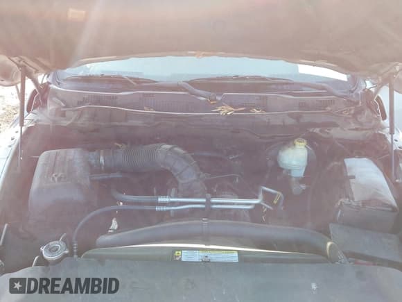 ✅ 2009 Dodge 1500 Laramie • VIN: 1D3HB13TX9S765945 • Lot: 42655560. Wystawiony na IAAI z przebiegiem 311 304 mil. Bezpłatny archiwum sprzedaży aukcyjnych z USA i szczegółowy raport historii pojazdu na DreamBid. Zdjęcie 10.