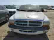 2002 Dodge Dakota SLT with VIN 1B7HL48N92S611184, listed as a Copart auction lot 55685604 with Not provided miles and Salvage title. Bid and sale history available at DreamBid. Image 5.