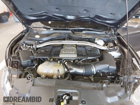 ✅ 2020 Ford Mustang GT • VIN: 1FA6P8CF9L5121966 • Lot: 43259978. Listed on IAAI with Not provided. Free auction sales archive from the USA and detailed vehicle history report at DreamBid. Image 10.