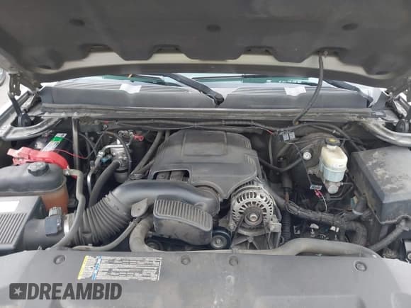 ✅ 2009 Chevrolet Silverado 1500 • VIN: 1GCEC39J69Z174643 • Lot: 42853730. Wystawiony na IAAI z przebiegiem 172 839 mil. Bezpłatny archiwum sprzedaży aukcyjnych z USA i szczegółowy raport historii pojazdu na DreamBid. Zdjęcie 10.