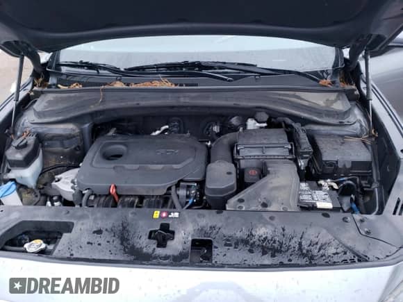 2020 Hyundai Santa Fe SE z VIN 5NMS23AD0LH156470, wystawiony jako Copart lot #38749673 z przebiegiem 62 186 mil mil oraz . Historia ofert i sprzedaży dostępna na DreamBid. Obrazek 12.