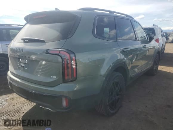✅ 2025 Kia Telluride SX X-Line • VIN: 5XYP5DGCXSG590552 • Lot: 46502485. Listed on Copart with 901 mi. Free auction sales archive from the USA and detailed vehicle history report at DreamBid. Image 3.