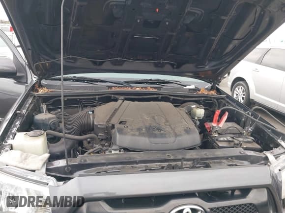 ✅ 2015 Toyota Tacoma PreRunner • VIN: 3TMKU4HN8FM043849 • Lot: 42790883. Wystawiony na IAAI z przebiegiem 123 228 mil. Bezpłatny archiwum sprzedaży aukcyjnych z USA i szczegółowy raport historii pojazdu na DreamBid. Zdjęcie 10.