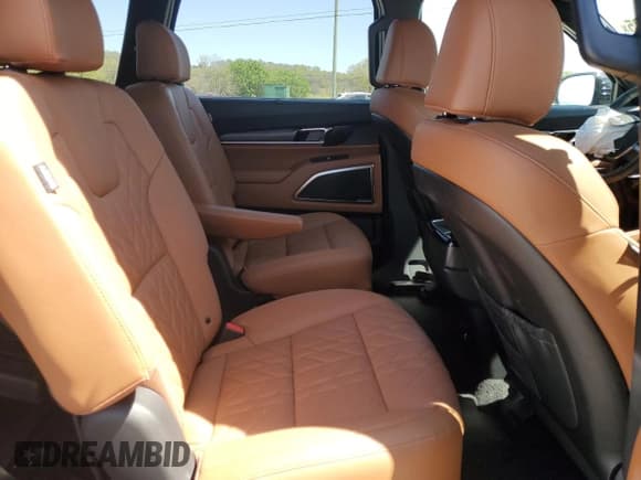 ✅ 2025 Kia Telluride SX X-Line • VIN: 5XYP5DGC0SG599325 • Lot: 51951635. Wystawiony na Copart z przebiegiem 3 212 mil. Bezpłatny archiwum sprzedaży aukcyjnych z USA i szczegółowy raport historii pojazdu na DreamBid. Zdjęcie 12.