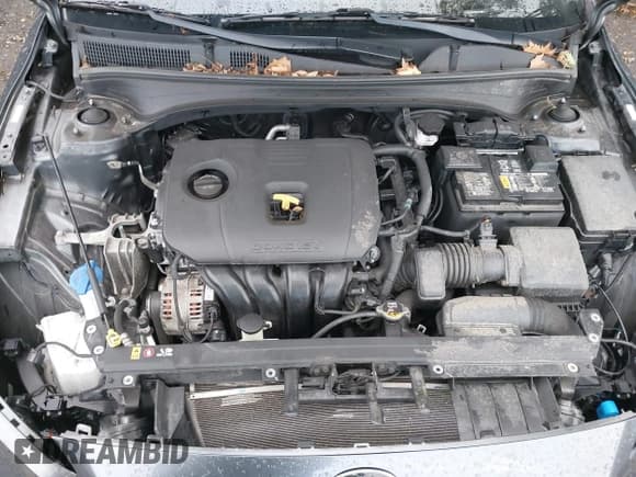 ✅ 2021 Kia Forte GT-Line • VIN: 3KPF34AD7ME382938 • Lot: 43451606. Wystawiony na IAAI z przebiegiem 60 280 mil. Bezpłatny archiwum sprzedaży aukcyjnych z USA i szczegółowy raport historii pojazdu na DreamBid. Zdjęcie 10.