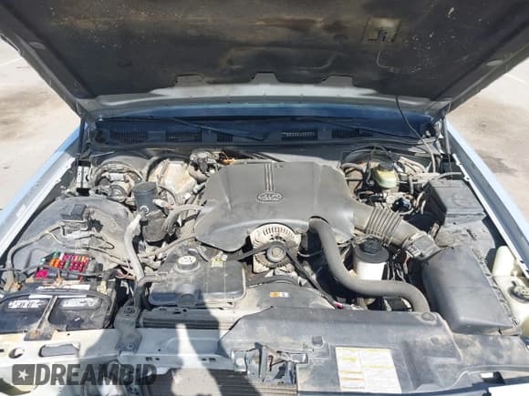 ✅ 2001 Ford Crown Victoria • VIN: 2FAFP73W31X139188 • Lot: 41883697. Listed on IAAI with 142,744 mi. Free auction sales archive from the USA and detailed vehicle history report at DreamBid. Image 10.