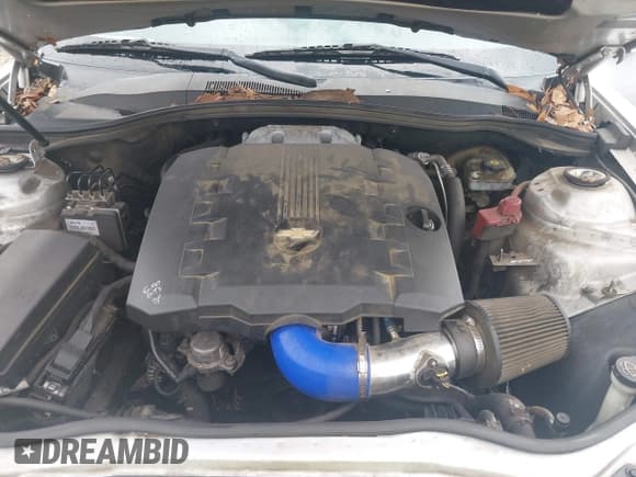 ✅ 2011 Chevrolet Camaro 2LS • VIN: 2G1FA1ED3B9209257 • Lot: 42774415. Listed on IAAI with 219,949 mi. Free auction sales archive from the USA and detailed vehicle history report at DreamBid. Image 10.