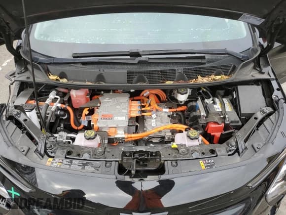 ✅ 2023 Chevrolet Bolt EV 1LT • VIN: 1G1FW6S09P4125986 • Lot: 43266075. Wystawiony na Copart z przebiegiem 16 203 mil. Bezpłatny archiwum sprzedaży aukcyjnych z USA i szczegółowy raport historii pojazdu na DreamBid. Zdjęcie 11.