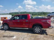 ✅ 2014 Ford F-150 XL • VIN: 1FTFW1EF2EKE21256 • Lot: 42913911. Listed on IAAI with 204,437 mi. Free auction sales archive from the USA and detailed vehicle history report at DreamBid. Image 14.