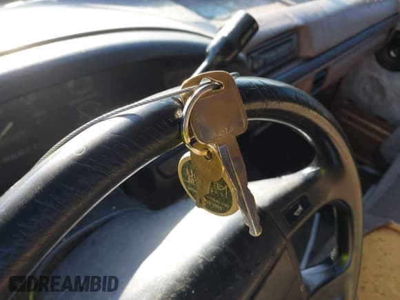 ✅ 1994 Ford F-150 • VIN: 1FTEX15N4RKB42106 • Lot: 41895936. Listed on IAAI with 229,108 mi. Free auction sales archive from the USA and detailed vehicle history report at DreamBid. Image 11.