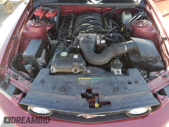 ✅ 2005 Ford Mustang GT Deluxe • VIN: 1ZVFT82H855226457 • Лот: 86697535. Опубликован ранее на Copart с пробегом 116 234 миль. Бесплатный доступ к архиву аукционных продаж из США и подробный отчёт об истории автомобиля на DreamBid. Изображение 11.