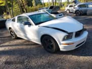 ✅ 2005 Ford Mustang GT Deluxe • VIN: 1ZVFT82HX55123301 • Lot: 43391120. Wystawiony na IAAI z przebiegiem 140 844 mil. Bezpłatny archiwum sprzedaży aukcyjnych z USA i szczegółowy raport historii pojazdu na DreamBid. Zdjęcie 1.