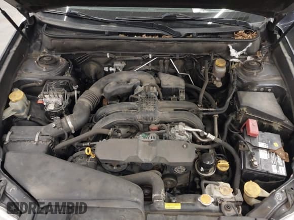 ✅ 2013 Subaru Outback Premium • VIN: 4S4BRCCC3D3242206 • Lot: 43703689. Wystawiony na IAAI z przebiegiem 176 745 mil. Bezpłatny archiwum sprzedaży aukcyjnych z USA i szczegółowy raport historii pojazdu na DreamBid. Zdjęcie 10.