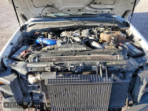 ✅ 2008 Ford F-250 XL • VIN: 1FTSW21R98EC64462 • Lot: 55072775. Listed on Copart with 200,193 mi. Free auction sales archive from the USA and detailed vehicle history report at DreamBid. Image 11.