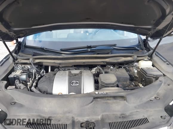 ✅ 2019 Lexus RX 350 • VIN: 2T2ZZMCA8KC123171 • Лот: 43530032. Опубликован ранее на IAAI с пробегом 54 802 миль. Бесплатный доступ к архиву аукционных продаж из США и подробный отчёт об истории автомобиля на DreamBid. Изображение 10.