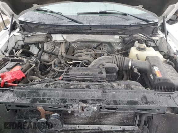 ✅ 2012 Ford F-150 XL • VIN: 1FTFW1EF8CFA47385 • Lot: 54059614. Listed on Copart with 95,599 mi. Free auction sales archive from the USA and detailed vehicle history report at DreamBid. Image 11.