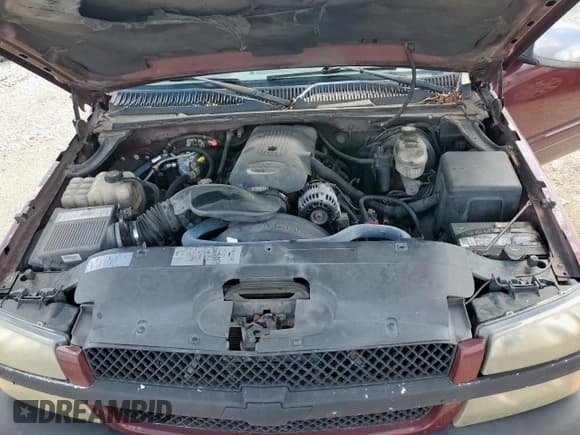 ✅ 2003 Chevrolet Silverado 1500 LT • VIN: 2GCEC19T231234889 • Lot: 82749415. Listed on Copart with Not provided. Free auction sales archive from the USA and detailed vehicle history report at DreamBid. Image 11.