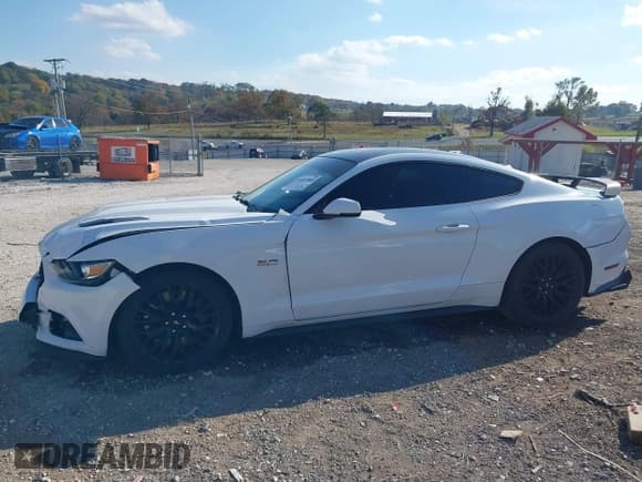 ✅ 2017 Ford Mustang GT Premium • VIN: 1FA6P8CF6H5256751 • Lot: 43607669. Wystawiony na IAAI z przebiegiem 135 162 mil. Bezpłatny archiwum sprzedaży aukcyjnych z USA i szczegółowy raport historii pojazdu na DreamBid. Zdjęcie 14.