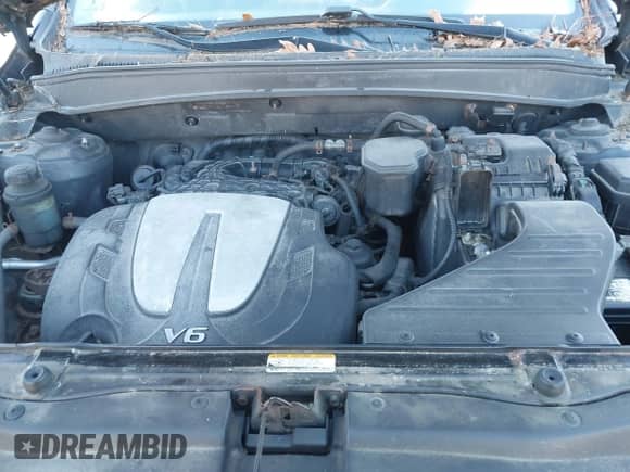 2010 Hyundai Santa Fe SE with VIN 5NMSHDAG3AH346663, listed as a IAAI auction lot 43449288 with 248,608 mi miles and . Bid and sale history available at DreamBid. Image 10.