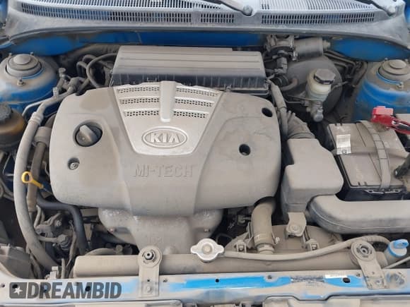 ✅ 2004 Kia Rio • VIN: KNADC125146329362 • Lot: 39559317. Wystawiony na IAAI z przebiegiem 206 380 mil. Bezpłatny archiwum sprzedaży aukcyjnych z USA i szczegółowy raport historii pojazdu na DreamBid. Zdjęcie 10.