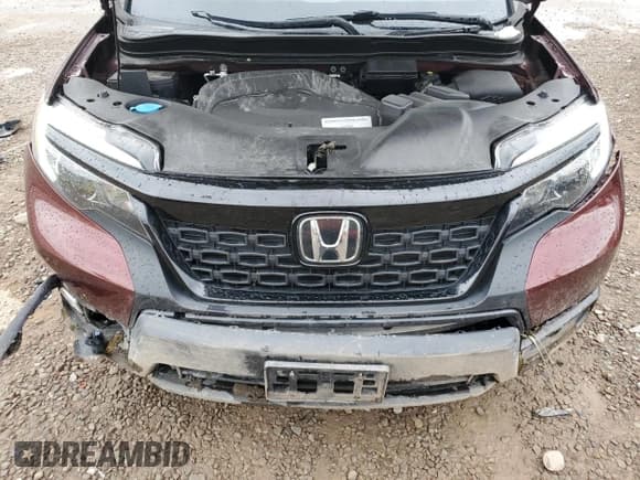✅ 2019 Honda Passport EX-L • VIN: 5FNYF8H52KB026118 • Lot: 59548395. Listed on Copart with 81,717 mi. Free auction sales archive from the USA and detailed vehicle history report at DreamBid. Image 11.