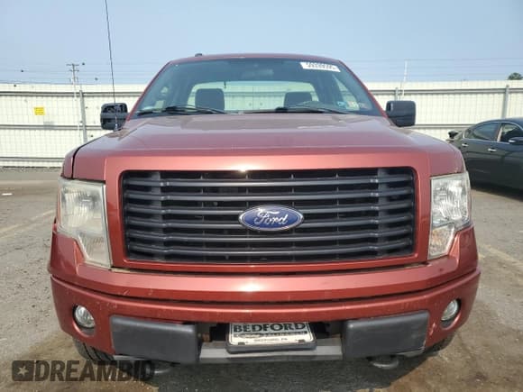 ✅ 2014 Ford F-150 XL • VIN: 1FTMF1EF5EKE51679 • Lot: 59339595. Wystawiony na Copart z przebiegiem 145 237 mil. Bezpłatny archiwum sprzedaży aukcyjnych z USA i szczegółowy raport historii pojazdu na DreamBid. Zdjęcie 5.