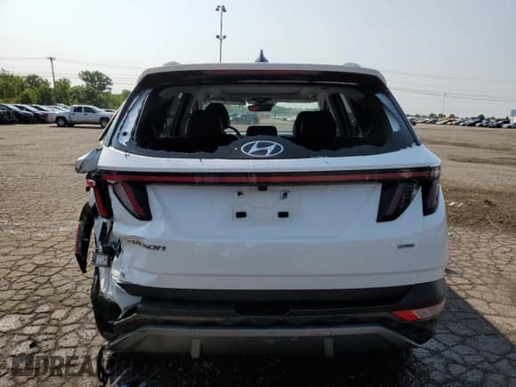 ✅ 2023 Hyundai Tucson Limited • VIN: 5NMJECAE0PH234974 • Lot: 65210764. Wystawiony na Copart z przebiegiem 61 932 mil. Bezpłatny archiwum sprzedaży aukcyjnych z USA i szczegółowy raport historii pojazdu na DreamBid. Zdjęcie 6.