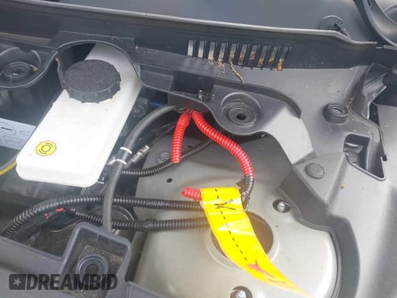 ✅ 2024 Tesla Model 3 Long Range • VIN: 5YJ3E1EB4RF834513 • Lot: 42516558. Wystawiony na IAAI z przebiegiem Nie podano. Bezpłatny archiwum sprzedaży aukcyjnych z USA i szczegółowy raport historii pojazdu na DreamBid. Zdjęcie 11.