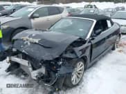 ✅ 2015 Audi A5 Premium Plus • VIN: WAUMFAFH1FN001766 • Lot: 41583553. Listed on IAAI with Not provided. Free auction sales archive from the USA and detailed vehicle history report at DreamBid. Image 16.