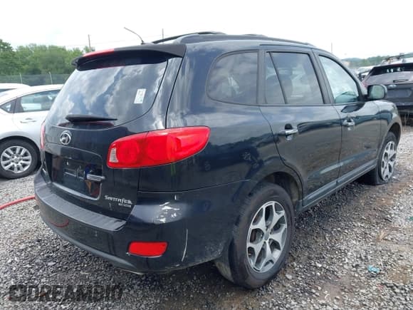 ✅ 2009 Hyundai Santa Fe SE • VIN: 5NMSH13E09H288324 • Lot: 42783569. Listed on IAAI with 251,737 mi. Free auction sales archive from the USA and detailed vehicle history report at DreamBid. Image 4.