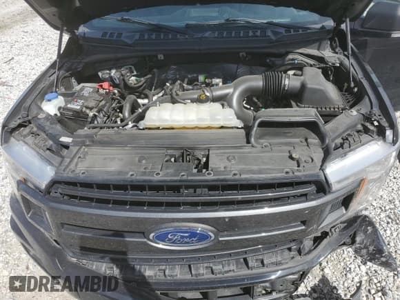 ✅ 2019 Ford F-150 XL • VIN: 1FTEW1EP9KKE56716 • Lot: 73533584. Listed on Copart with 100,826 mi. Free auction sales archive from the USA and detailed vehicle history report at DreamBid. Image 11.