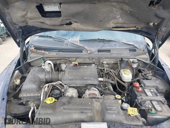 ✅ 2000 Dodge Dakota Sport • VIN: 1B7GG2AN2YS754713 • Lot: 42346847. Wystawiony na IAAI z przebiegiem 224 702 mil. Bezpłatny archiwum sprzedaży aukcyjnych z USA i szczegółowy raport historii pojazdu na DreamBid. Zdjęcie 10.