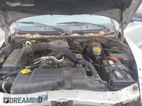 ✅ 2000 Dodge Dakota • VIN: 1B7GL22X8YS584711 • Lot: 43820733. Listed on IAAI with 169,385 mi. Free auction sales archive from the USA and detailed vehicle history report at DreamBid. Image 10.