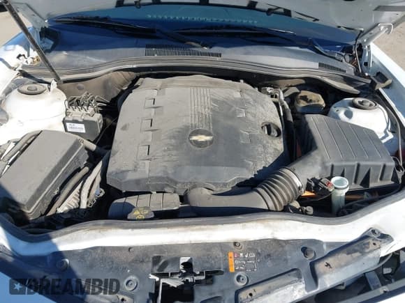 ✅ 2013 Chevrolet Camaro LS • VIN: 2G1FE1E3XD9178720 • Lot: 41591443. Listed on IAAI with 80,300 mi. Free auction sales archive from the USA and detailed vehicle history report at DreamBid. Image 10.