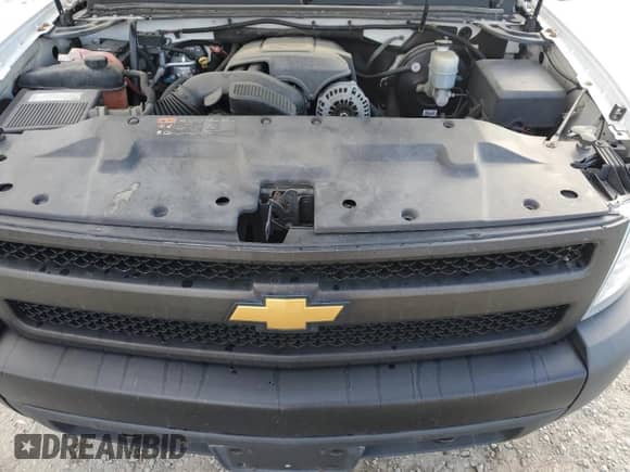 2008 Chevrolet Silverado 1500 Work Truck with VIN 1GCEC19J78E118107, listed as a Copart auction lot 86035784 with Not provided miles and Salvage title. Bid and sale history available at DreamBid. Image 11.