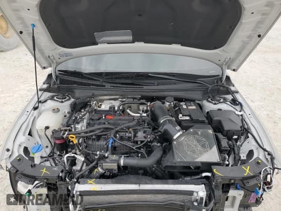 ✅ 2025 Hyundai Elantra • VIN: KMHLW4DK1SU023096 • Lot: 88844975. Listed on Copart with 6,682 mi. Free auction sales archive from the USA and detailed vehicle history report at DreamBid. Image 11.