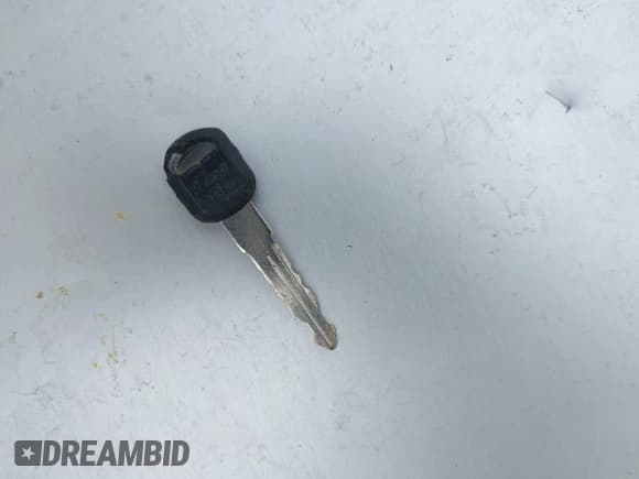 ✅ 1999 Chevrolet Silverado 1500 LS • VIN: 2GCEK19T8X1254749 • Lot: 43555608. Listed on IAAI with Not provided. Free auction sales archive from the USA and detailed vehicle history report at DreamBid. Image 11.