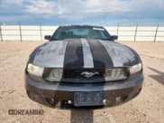 ✅ 2010 Ford Mustang V6 • VIN: 1ZVBP8AN9A5120684 • Lot: 64251745. Listed on Copart with 262,945 mi. Free auction sales archive from the USA and detailed vehicle history report at DreamBid. Image 5.