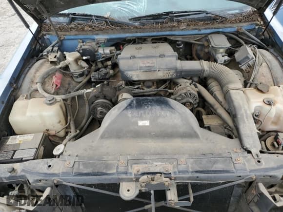 ✅ 1992 Buick Roadmaster • VIN: 1G4BN5371NR444504 • Lot: 58724105. Wystawiony na Copart z przebiegiem 128 401 mil. Bezpłatny archiwum sprzedaży aukcyjnych z USA i szczegółowy raport historii pojazdu na DreamBid. Zdjęcie 11.