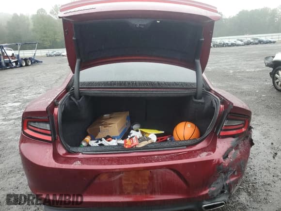 ✅ 2018 Dodge Charger SXT Plus • VIN: 2C3CDXHG0JH124590 • Lot: 80855695. Listed on Copart with 106,314 mi. Free auction sales archive from the USA and detailed vehicle history report at DreamBid. Image 6.