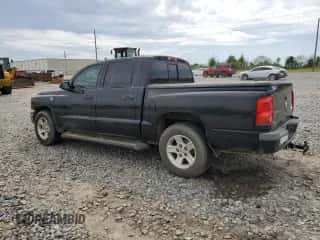 2009 Dodge Dakota Bighorn/Lonestar с VIN 1D7HE38P79S790167, выставлен на аукционе Copart как лот 51353734 с пробегом 262 039 миль миль и Списание • Salvage title. История ставок и продаж доступна на DreamBid. Изображение 2.