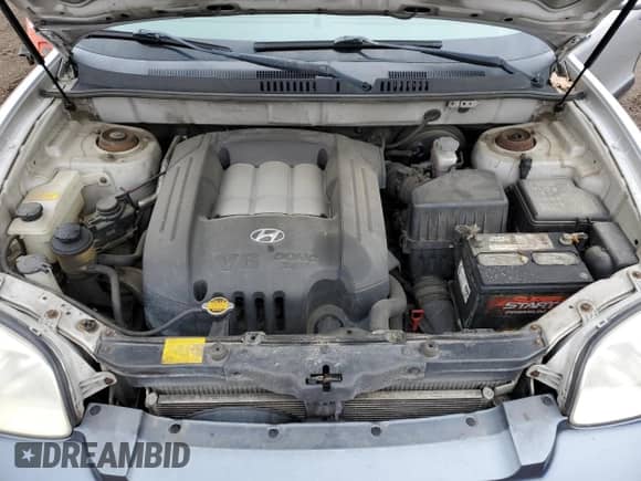 ✅ 2003 Hyundai Santa Fe GLS • VIN: KM8SC13D33U450903 • Лот: 48351575. Размещён на Copart с пробегом 150 319 миль миль. Получите бесплатный доступ к архиву аукционных продаж из США и посмотрите подробный отчёт об истории автомобиля на DreamBid. Изображение 12.