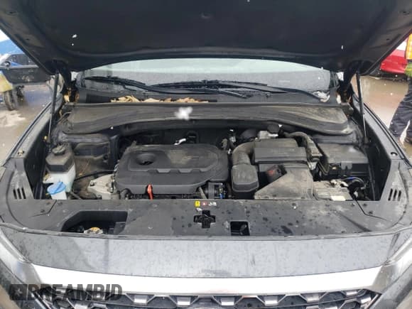 ✅ 2020 Hyundai Santa Fe SEL • VIN: 5NMS3CAD0LH205468 • Lot: 42911743. Wystawiony na Copart z przebiegiem 53 151 mil. Bezpłatny archiwum sprzedaży aukcyjnych z USA i szczegółowy raport historii pojazdu na DreamBid. Zdjęcie 11.