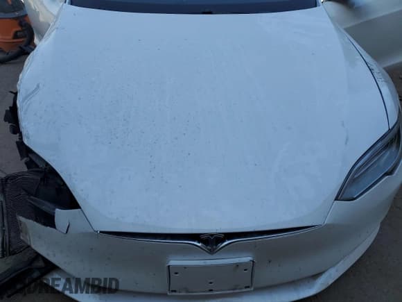 ✅ 2021 Tesla Model S Long Range Plus • VIN: 5YJSA1E29MF419106 • Lot: 73927584. Listed on Copart with Not provided. Free auction sales archive from the USA and detailed vehicle history report at DreamBid. Image 11.