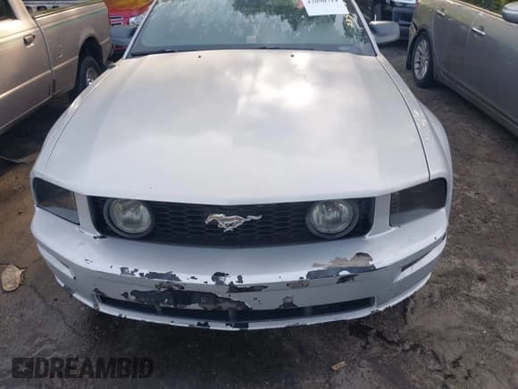 ✅ 2007 Ford Mustang GT Deluxe • VIN: 1ZVHT82H775235033 • Lot: 42090714. Listed on IAAI with 225,952 mi. Free auction sales archive from the USA and detailed vehicle history report at DreamBid. Image 6.
