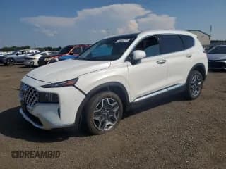 ✅ 2022 Hyundai Santa Fe Limited • VIN: KM8S5DA14NU052896 • Lot: 63660275. Wystawiony na Copart z przebiegiem 45 165 mil. Bezpłatny archiwum sprzedaży aukcyjnych z USA i szczegółowy raport historii pojazdu na DreamBid. Zdjęcie 1.