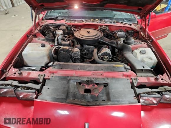 ✅ 1989 Chevrolet Camaro • VIN: 1G1FP21E0KL160241 • Лот: 90672545. Опубликован ранее на Copart с пробегом 12 миль. Бесплатный доступ к архиву аукционных продаж из США и подробный отчёт об истории автомобиля на DreamBid. Изображение 11.